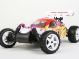 HiMOTO buggy Z-3 1:10 elektro RTR set 2,4GHz červená