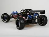 HIMOTO 1:5 BUGGY 4WD RAPTOR 5XB 2,4GHz 30ccm