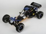 HIMOTO 1:5 BUGGY 4WD RAPTOR 5XB 2,4GHz 30ccm