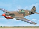 BH161 P-40 Tomahawk 2275mm ARF