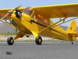 Piper J-3 Cub 1:4 2m 